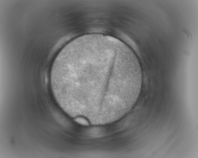 X0000113640059200910162046