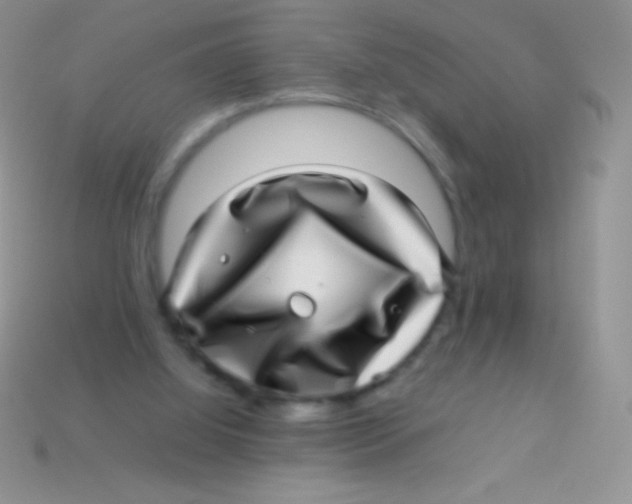 X0000113640060200910162046