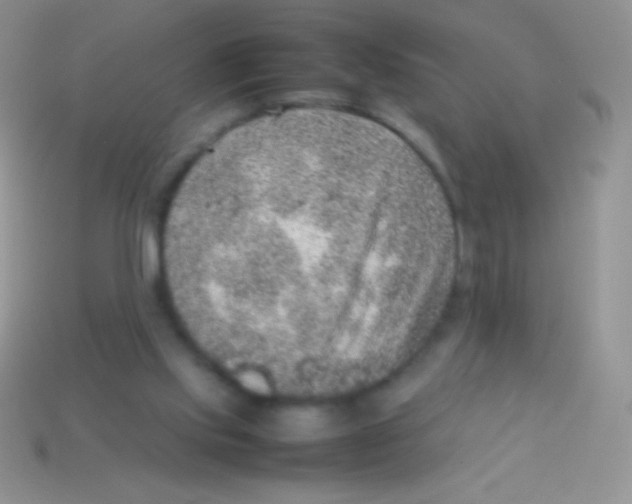 X0000113640061200910162046