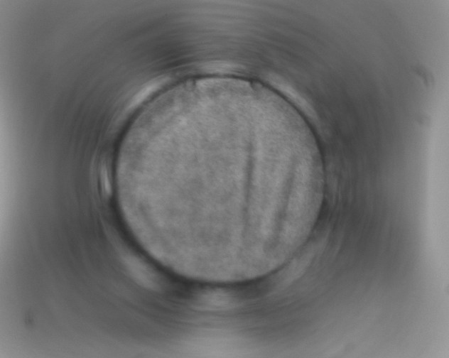 X0000113640062200910162046