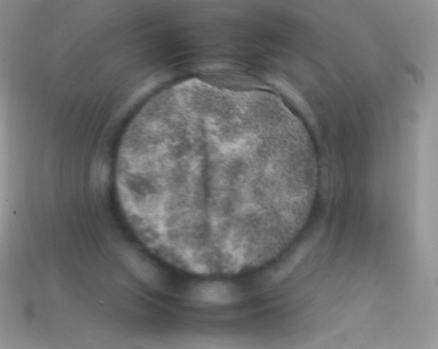 X0000113640063200910162046