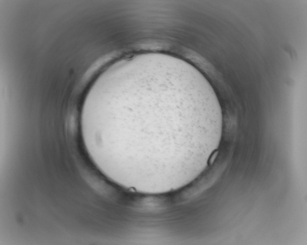 X0000113640064200910162046