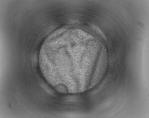 X0000113640065200910162046