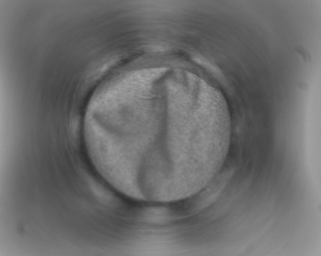 X0000113640066200910162046