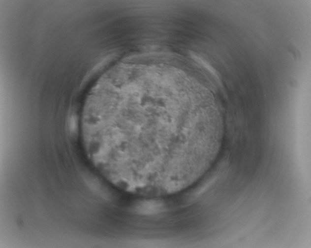 X0000113640067200910162046