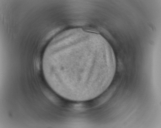 X0000113640068200910162046