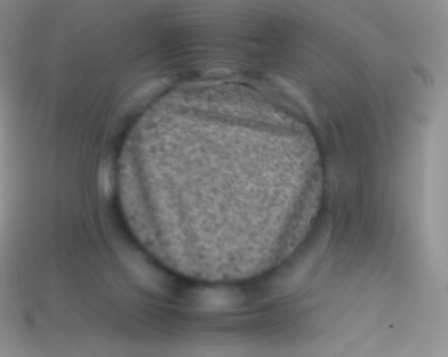 X0000113640069200910162046