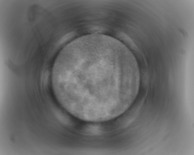 X0000113640071200910162046