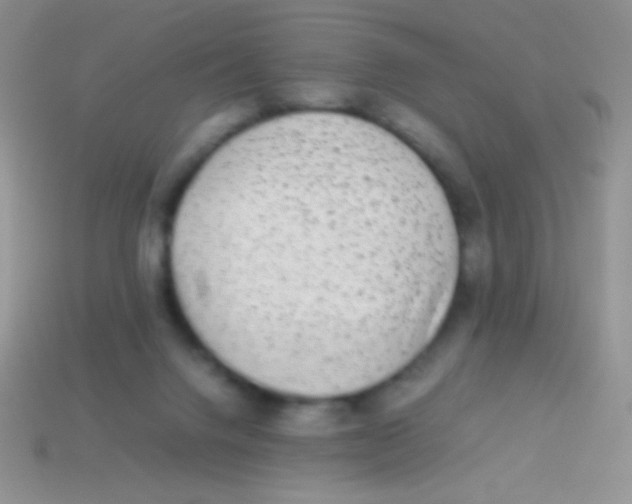 X0000113640072200910162046