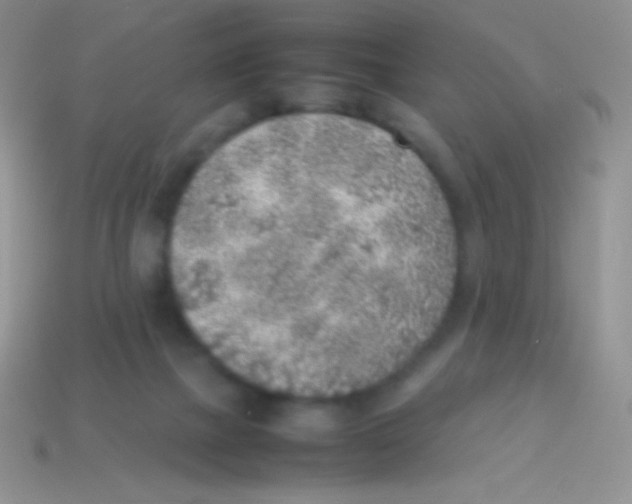 X0000113640073200910162046