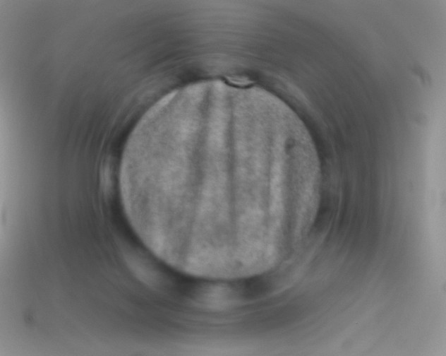 X0000113640074200910162046