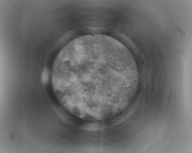 X0000113640075200910162046