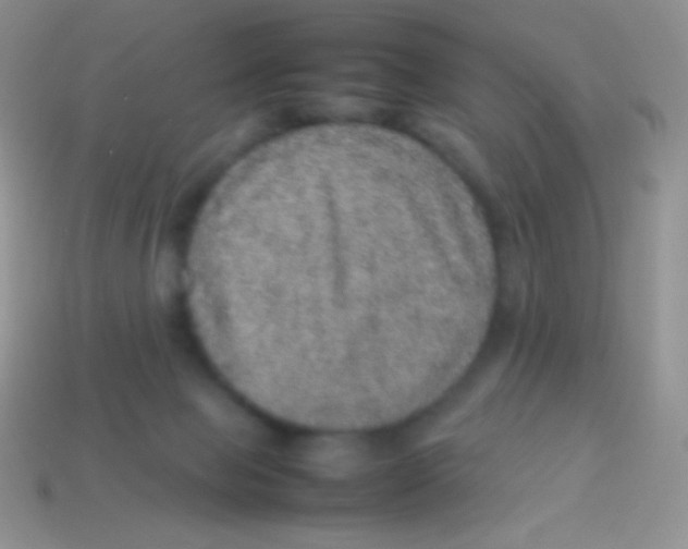 X0000113640077200910162046