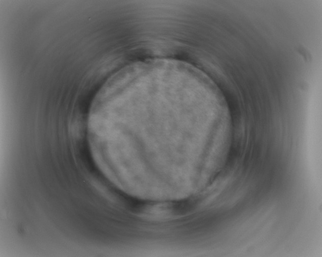 X0000113640078200910162046