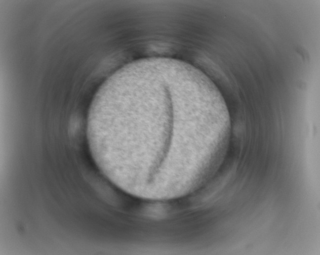 X0000113640079200910162046