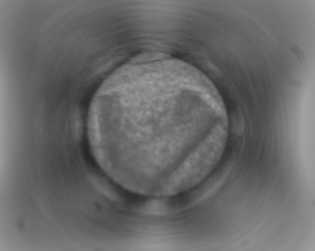 X0000113640080200910162046