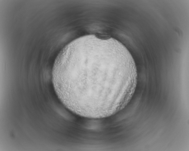 X0000113640081200910162046