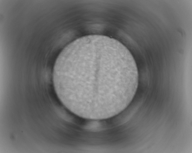 X0000113640083200910162046