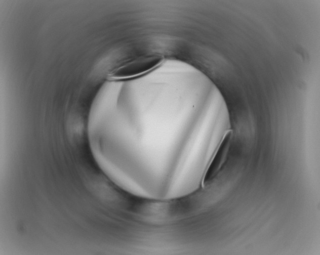 X0000113640084200910162046