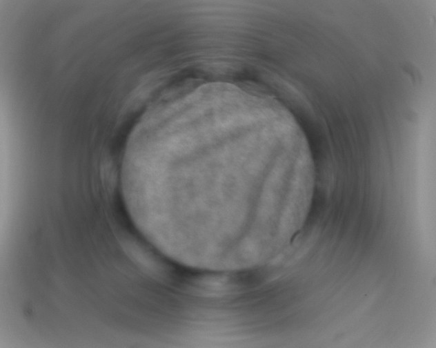 X0000113640086200910162046