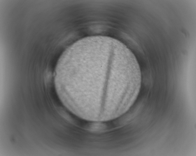 X0000113640087200910162046