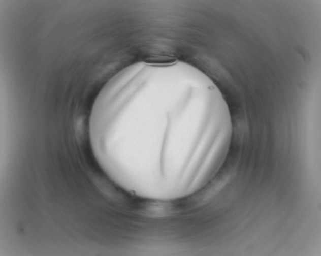 X0000113640088200910162046