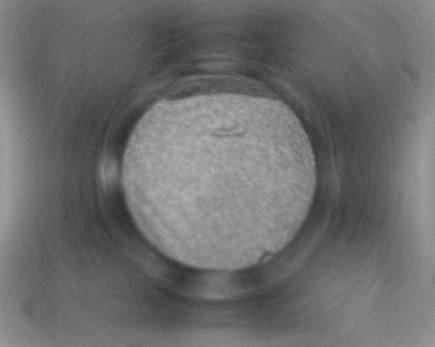 X0000113640089200910162046