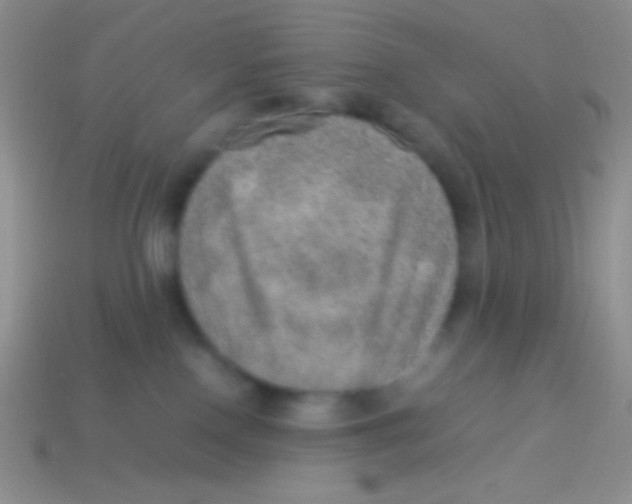 X0000113640090200910162046