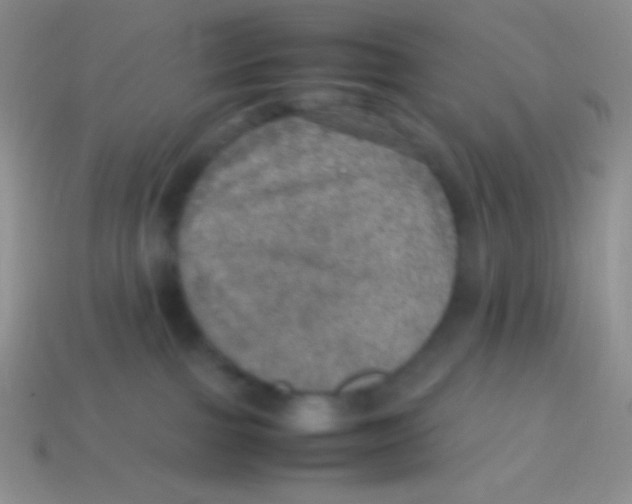 X0000113640091200910162046