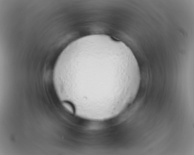 X0000113640093200910162046