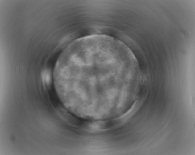 X0000113640094200910162046