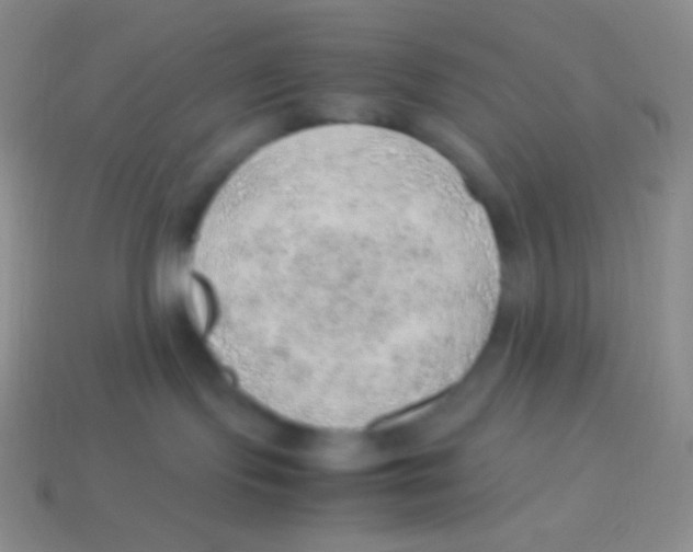 X0000113640095200910162046