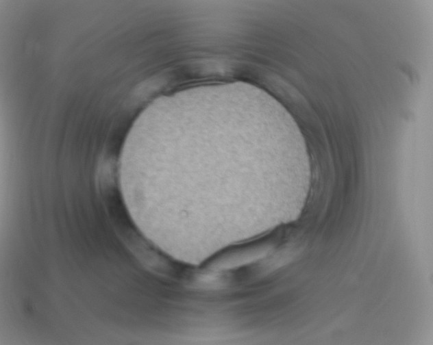 X0000113640096200910162046