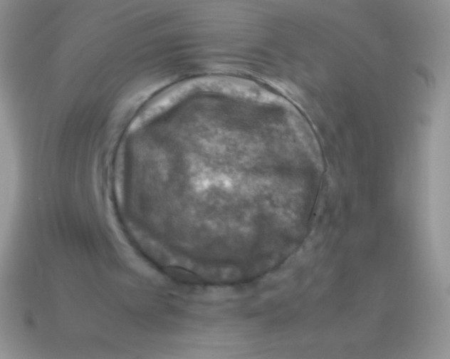 X0000113640097200910162046