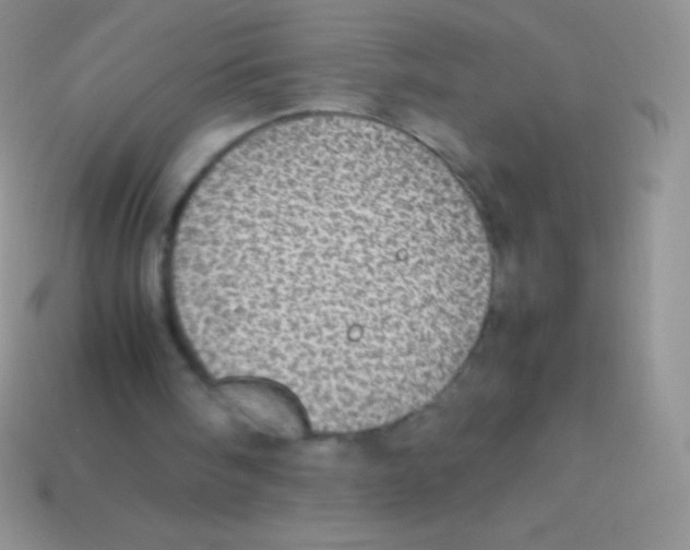 X0000113640098200910162046