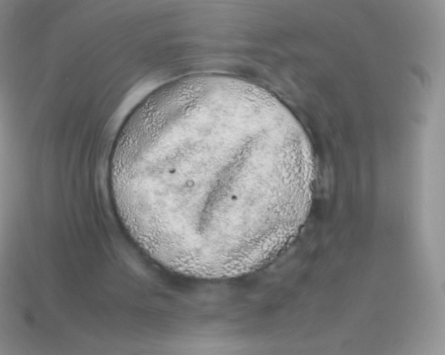 X0000113640099200910162046