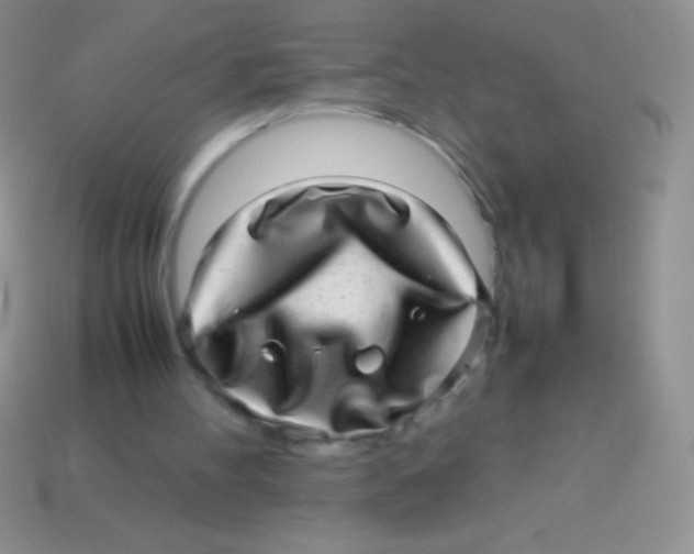 X0000113640100200910162046