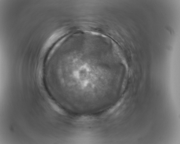 X0000113640101200910162046