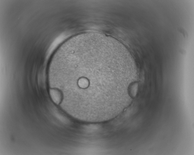 X0000113640102200910162046