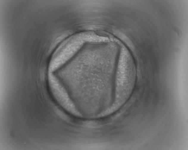 X0000113640105200910162045