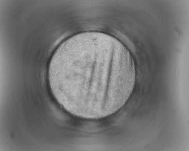 X0000113640107200910162045