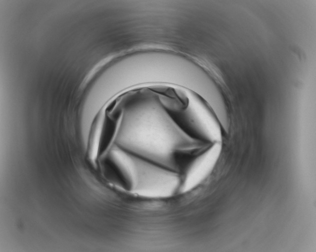 X0000113640108200910162045