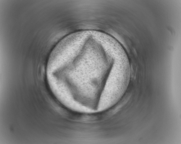 X0000113640109200910162045