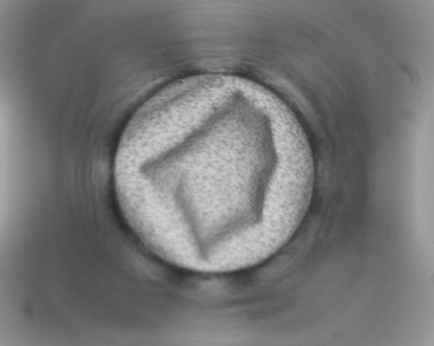 X0000113640113200910162045