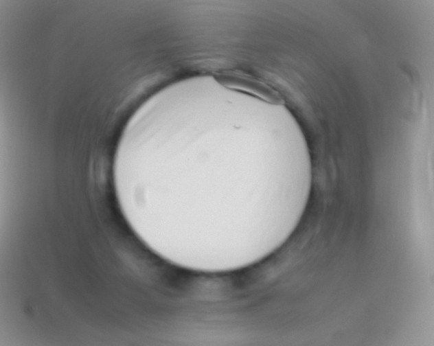 X0000113640115200910162045