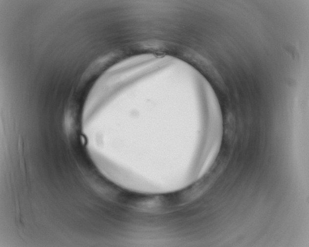 X0000113640116200910162045