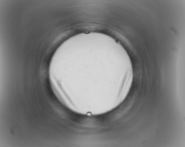 X0000113640119200910162045