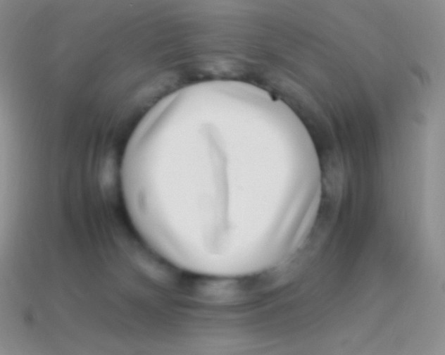 X0000113640132200910162045