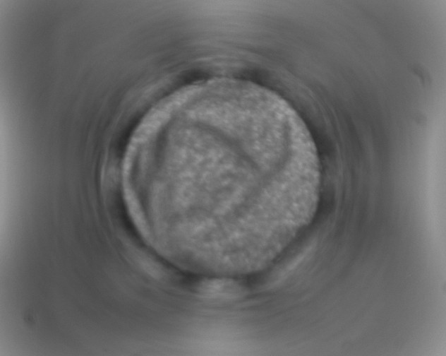 X0000113640137200910162045