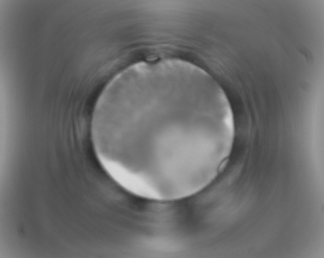 X0000113640139200910162045